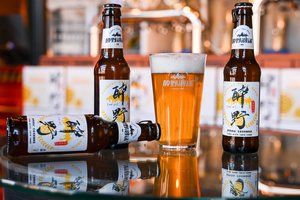 新品｜醉野泡沫果味精酿新瓶上市！多口味选择