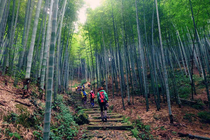 【登山徒步】7.4 上青古道单日徒步休闲游,寻找兰若寺,赏幽幽竹海(多重优惠返现)
