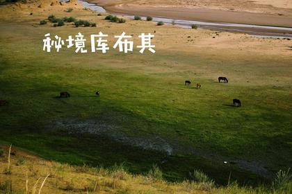 清明: 穿越秘境库布齐沙漠(东线)(食宿全包)(已成行)