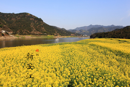【菜花季】3.8-3.10 游新安江山水画廊,探歙县古城,访石谭古村(早鸟结伴都返现)