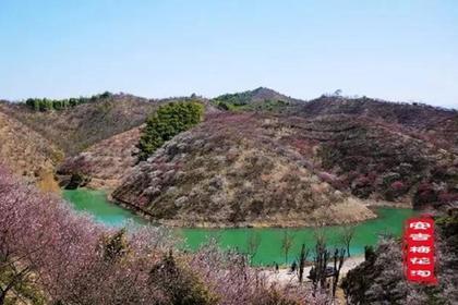 【赏花季】3.3 安吉梅花沟,赏千亩梅林盛景!(三重叠加福利返现)
