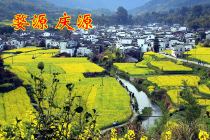 【菜花季】第二期3.29-3.31 徜徉月亮湾,去婺源庆源找寻金色的梦(早报名或结伴都有返现)