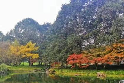 【初五接财神】1.29徒步十里琅珰,赏九溪十八涧美景,穿茶园,拜财神(多重优惠返现)