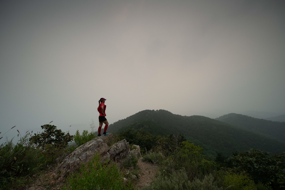 21大连海滨风光健康跑-大海鲨-356