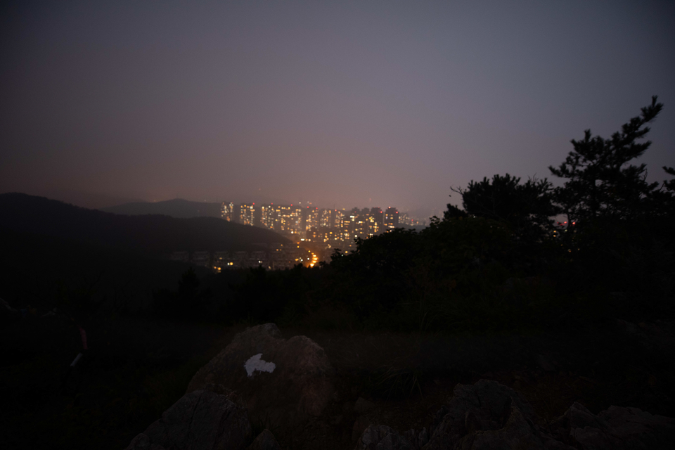 21大连海滨风光健康跑-大海鲨-359