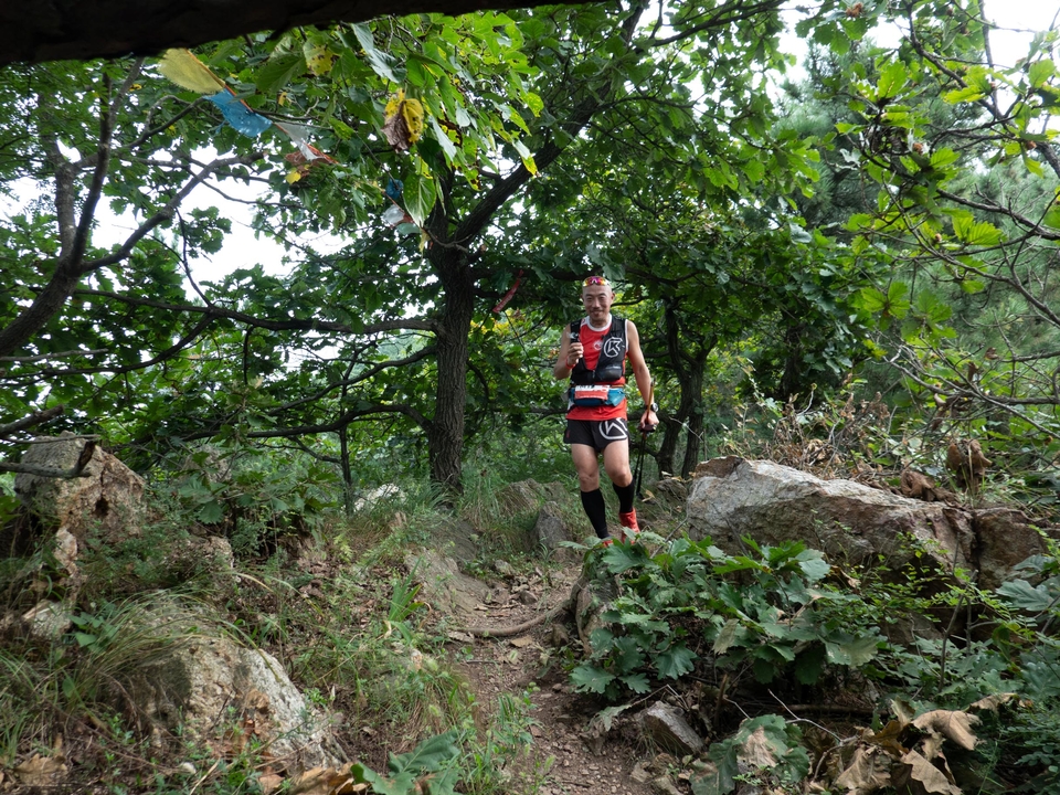 21大连海滨风光健康跑-大海鲨-342