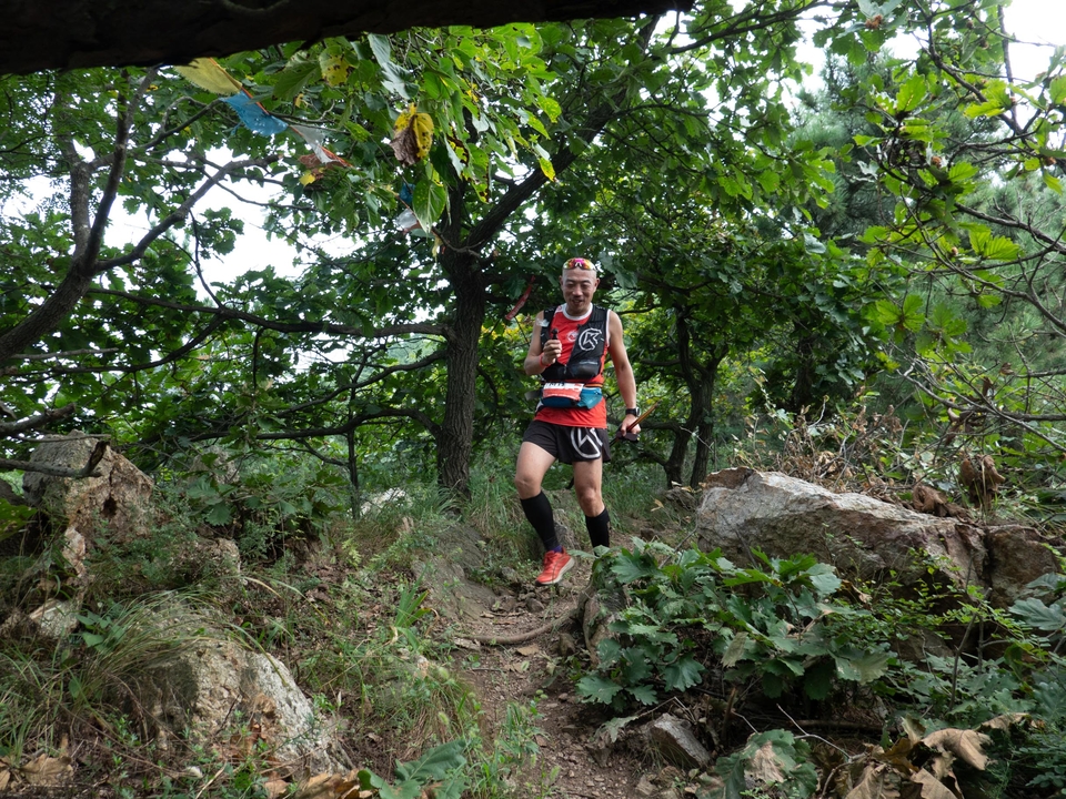 21大连海滨风光健康跑-大海鲨-343