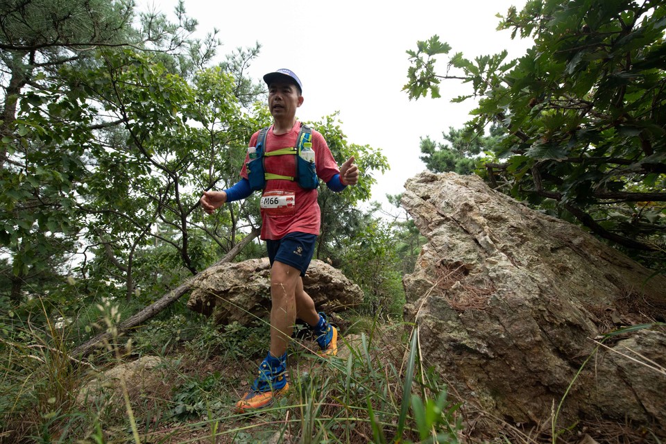 21大连海滨风光健康跑-大海鲨-333