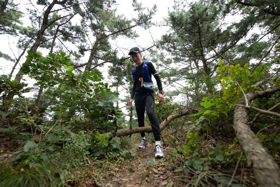 21大连海滨风光健康跑-大海鲨-327