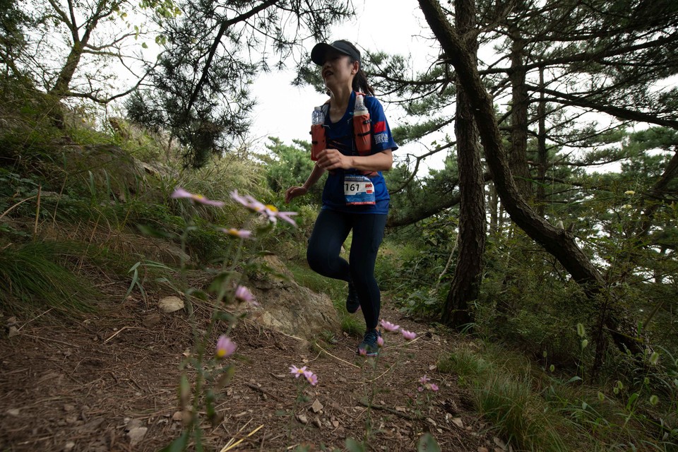 21大连海滨风光健康跑-大海鲨-310