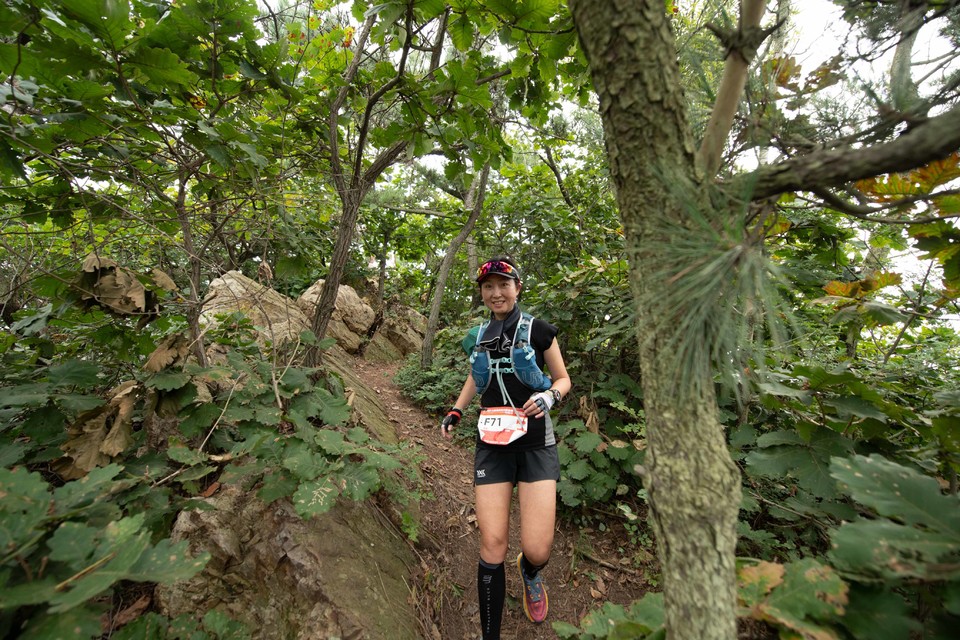 21大连海滨风光健康跑-大海鲨-300