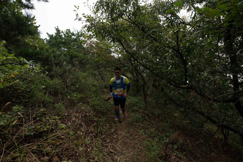 21大连海滨风光健康跑-大海鲨-213