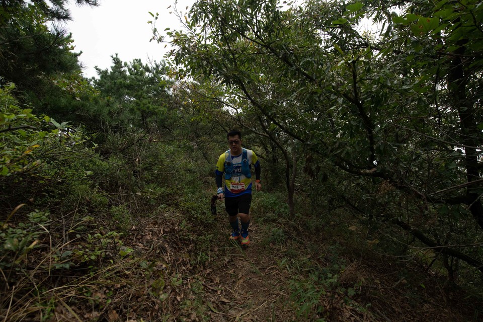 21大连海滨风光健康跑-大海鲨-214