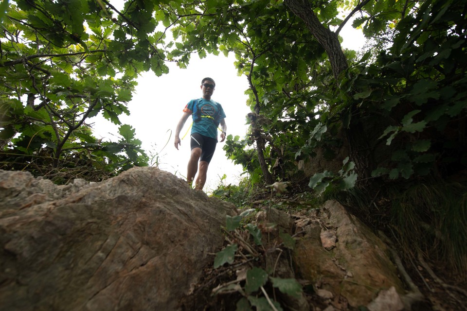 21大连海滨风光健康跑-大海鲨-230