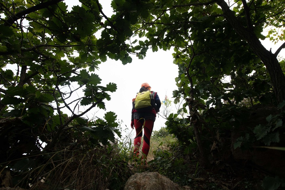 21大连海滨风光健康跑-大海鲨-237