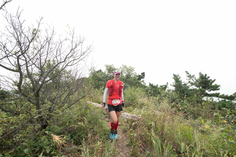 21大连海滨风光健康跑-大海鲨-241