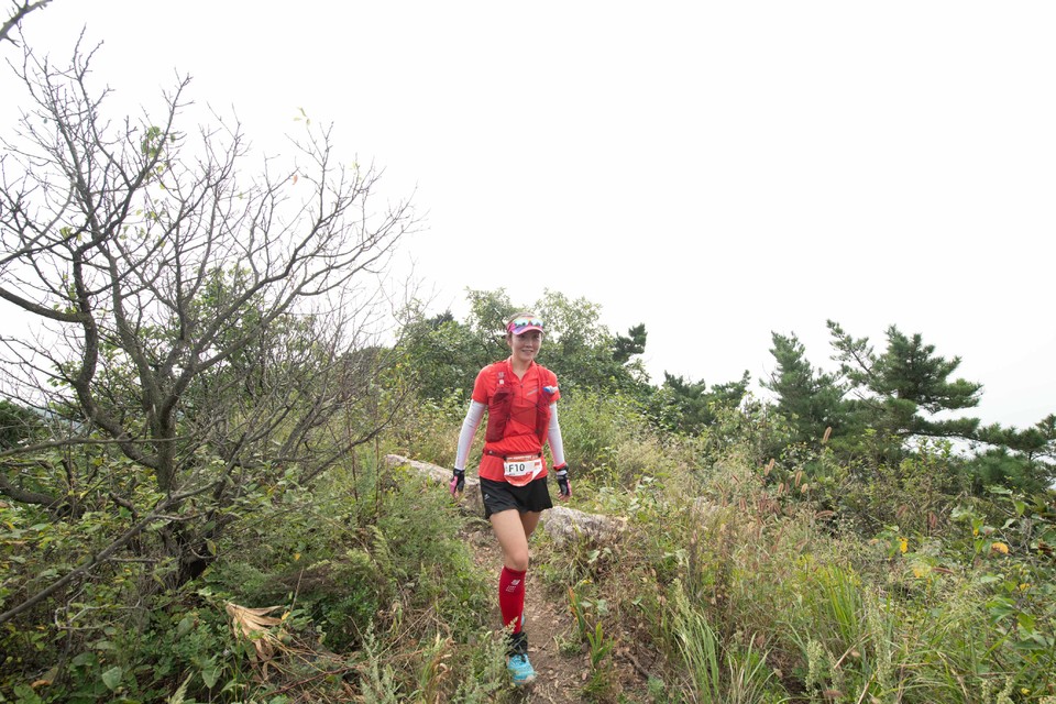 21大连海滨风光健康跑-大海鲨-242