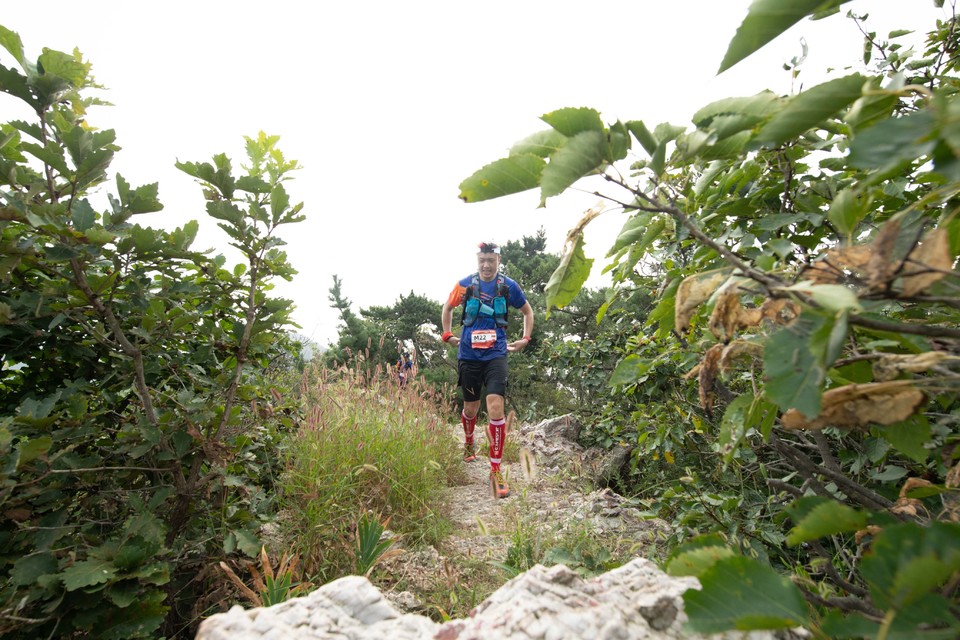 21大连海滨风光健康跑-大海鲨-243