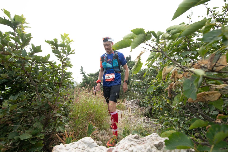 21大连海滨风光健康跑-大海鲨-246