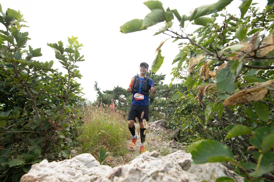 21大连海滨风光健康跑-大海鲨-248