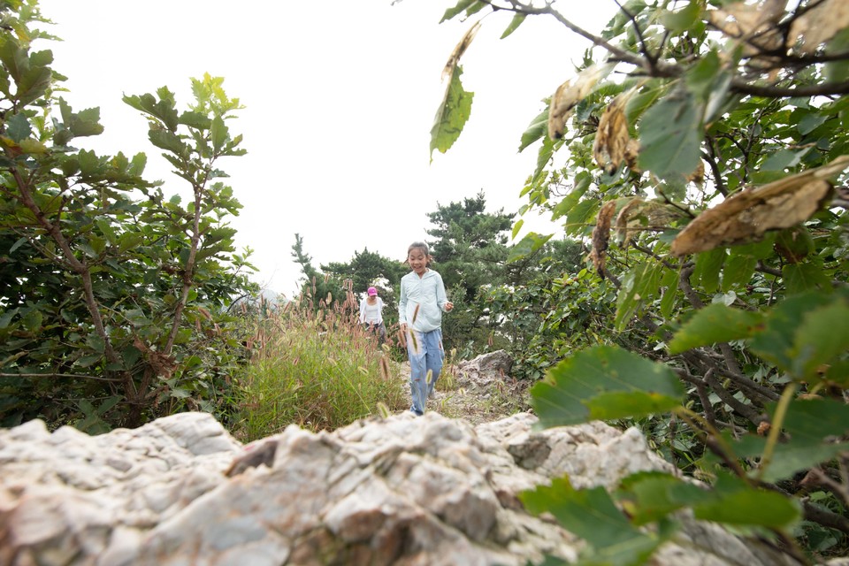 21大连海滨风光健康跑-大海鲨-250