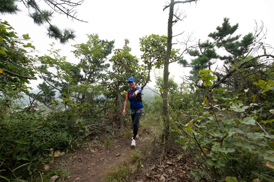 21大连海滨风光健康跑-大海鲨-253