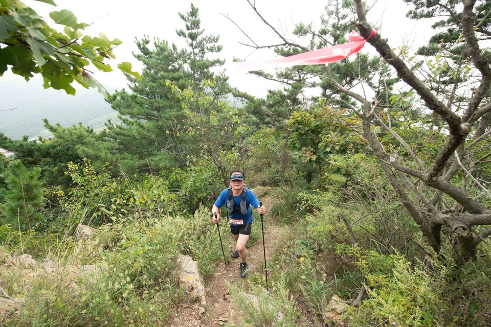 21大连海滨风光健康跑-大海鲨-261