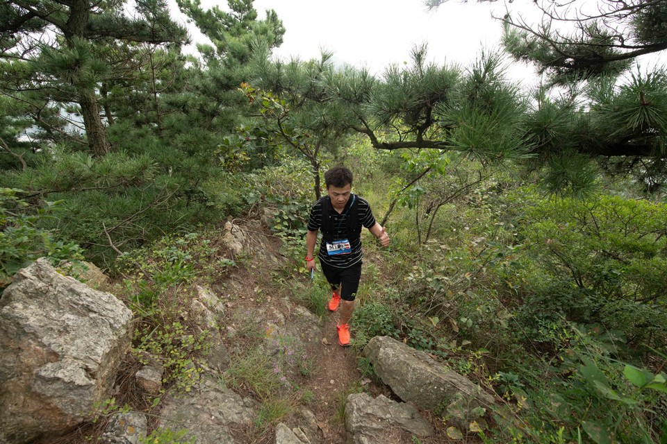 21大连海滨风光健康跑-大海鲨-264