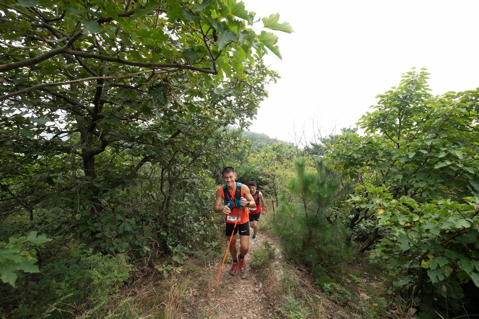 21大连海滨风光健康跑-大海鲨-265