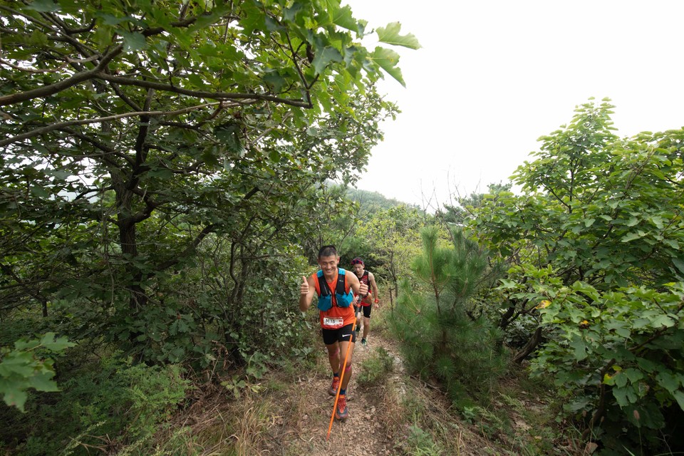 21大连海滨风光健康跑-大海鲨-266