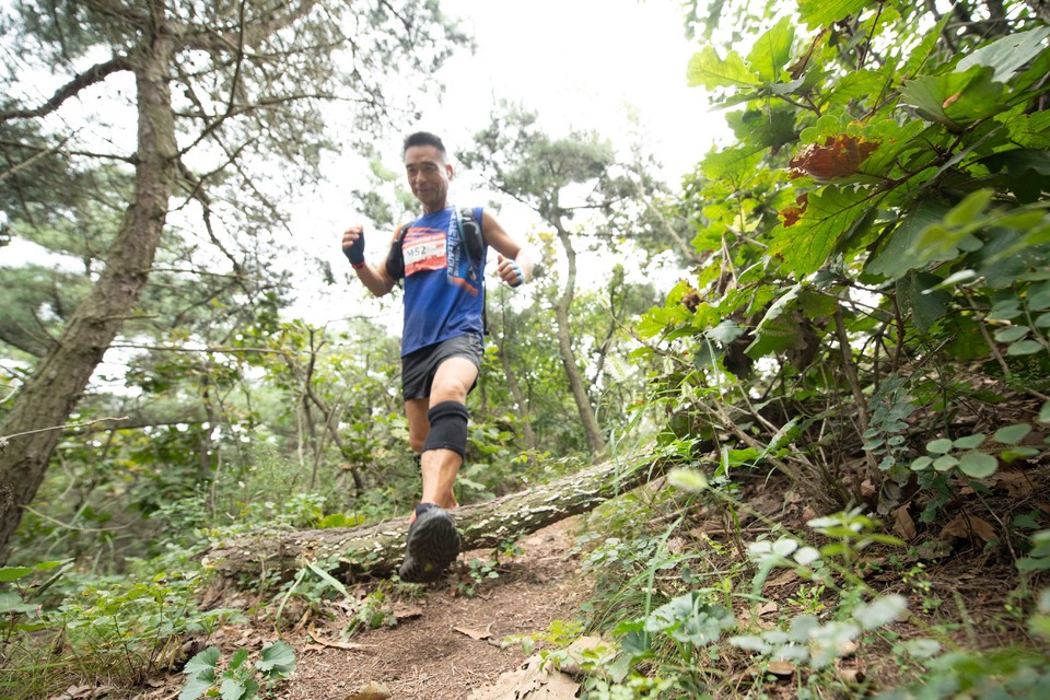 21大连海滨风光健康跑-大海鲨-276