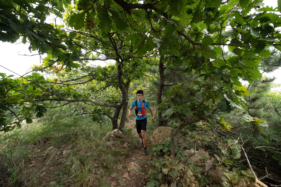 21大连海滨风光健康跑-大海鲨-287