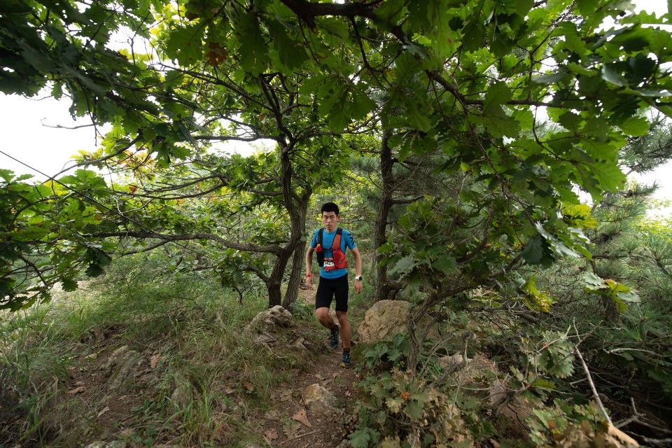 21大连海滨风光健康跑-大海鲨-288