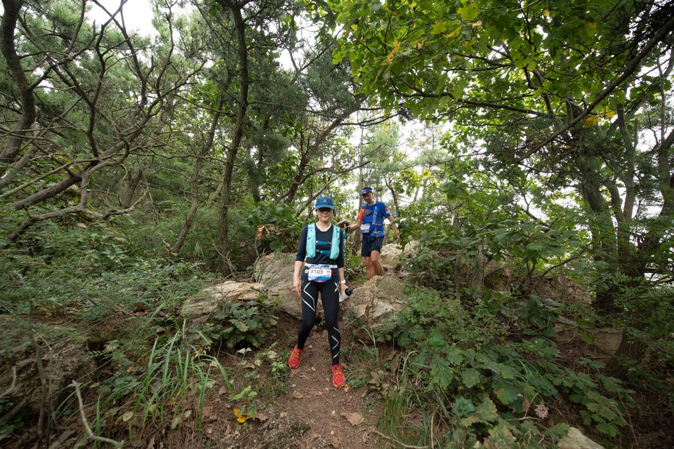 21大连海滨风光健康跑-大海鲨-290