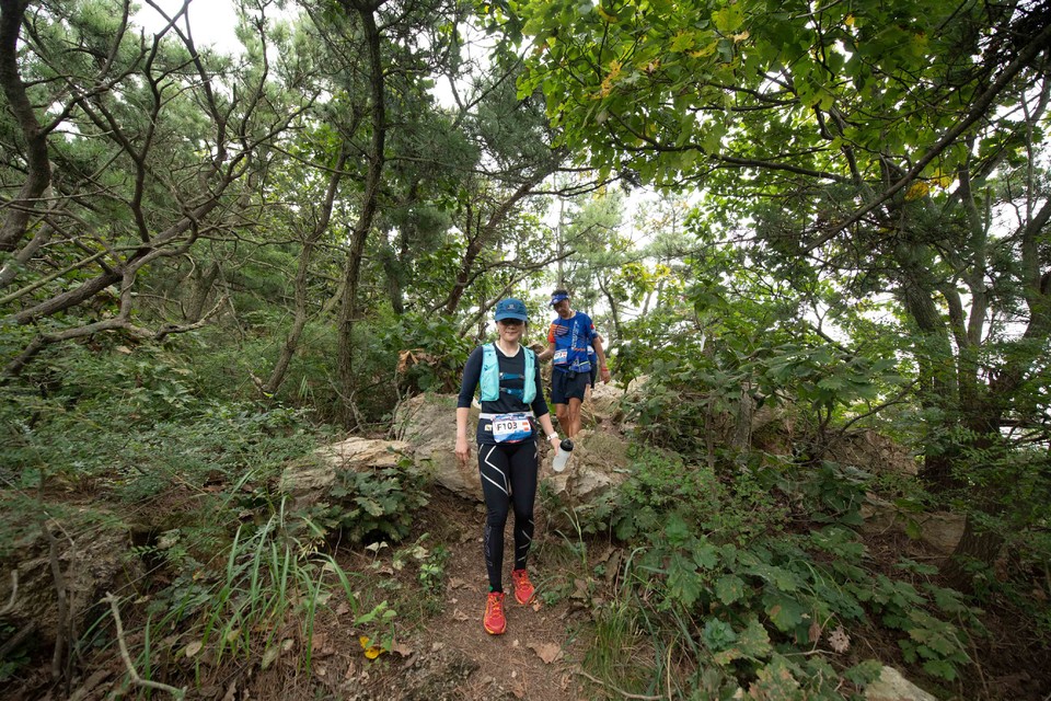 21大连海滨风光健康跑-大海鲨-291