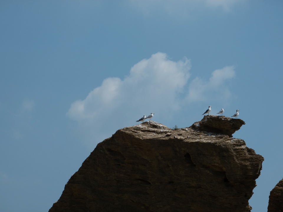 21大连海滨风光健康跑-大海鲨-1