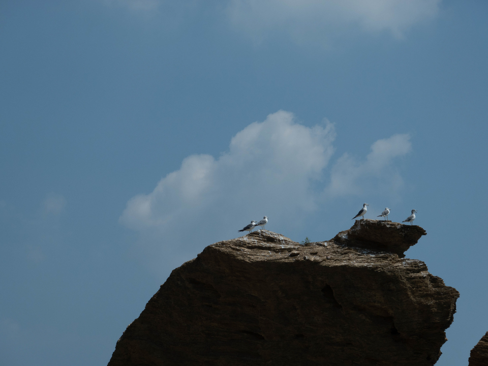 21大连海滨风光健康跑-大海鲨-2