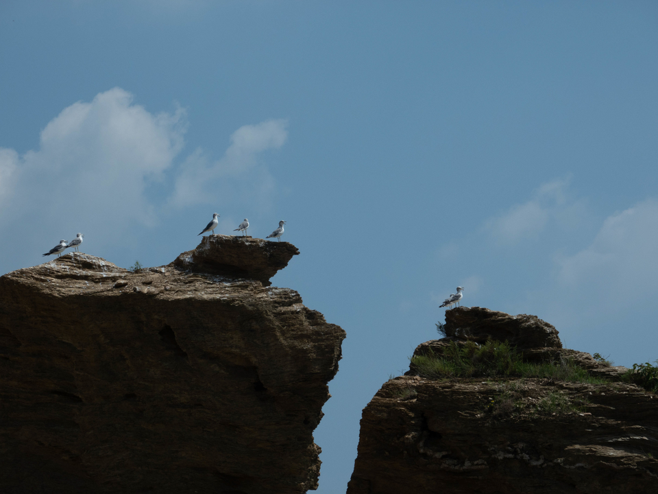 21大连海滨风光健康跑-大海鲨-3