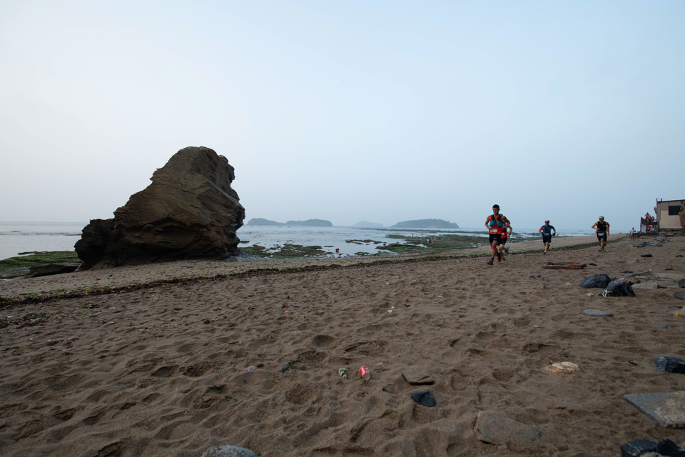 21大连海滨风光健康跑-大海鲨-4
