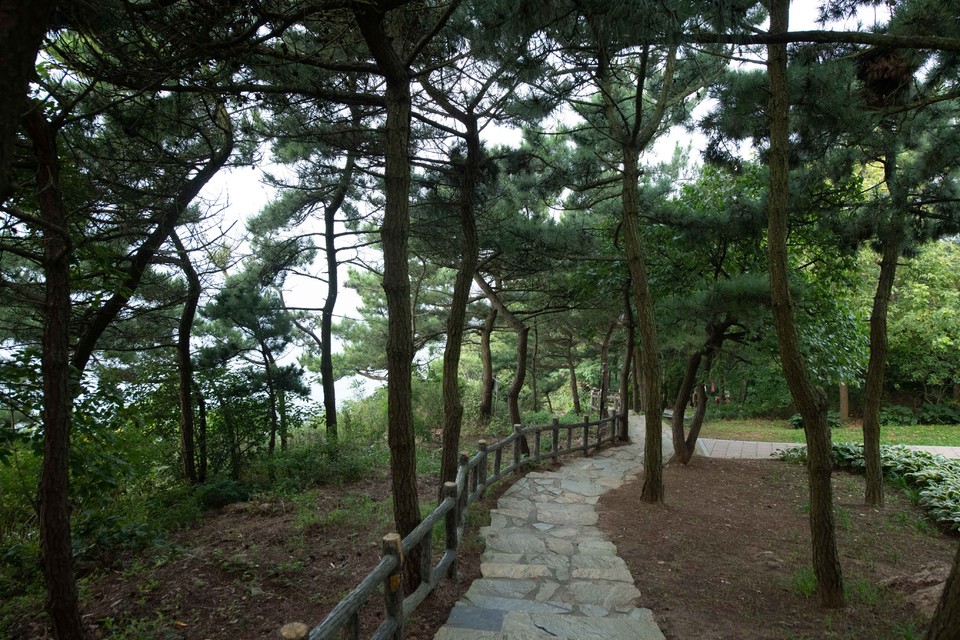 21大连海滨风光健康跑-大海鲨-24