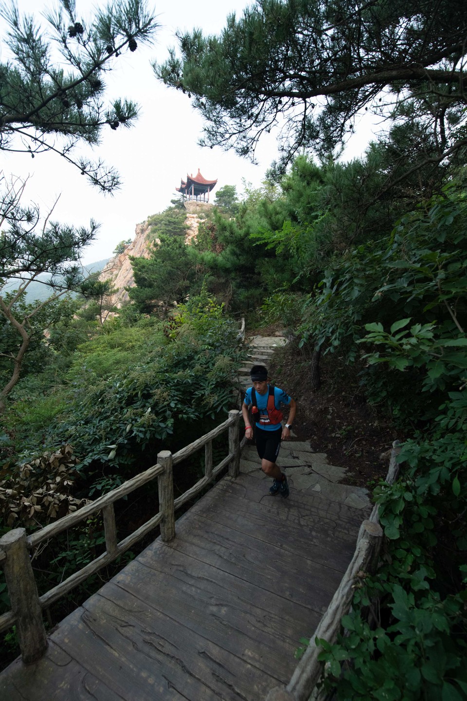 21大连海滨风光健康跑-大海鲨-25