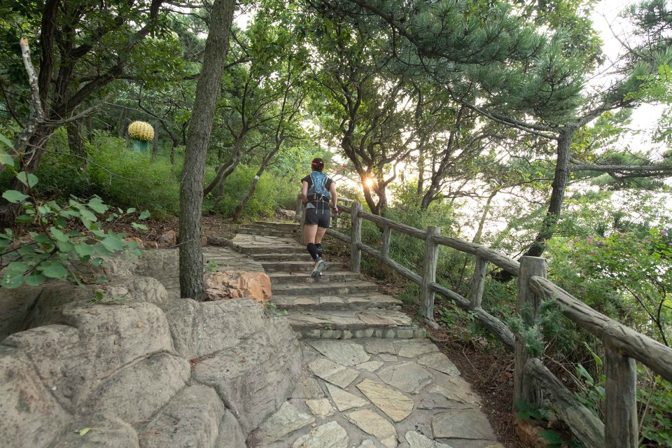 21大连海滨风光健康跑-大海鲨-39