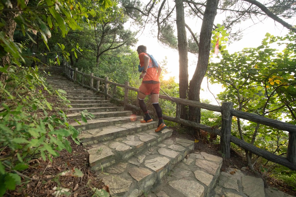 21大连海滨风光健康跑-大海鲨-42