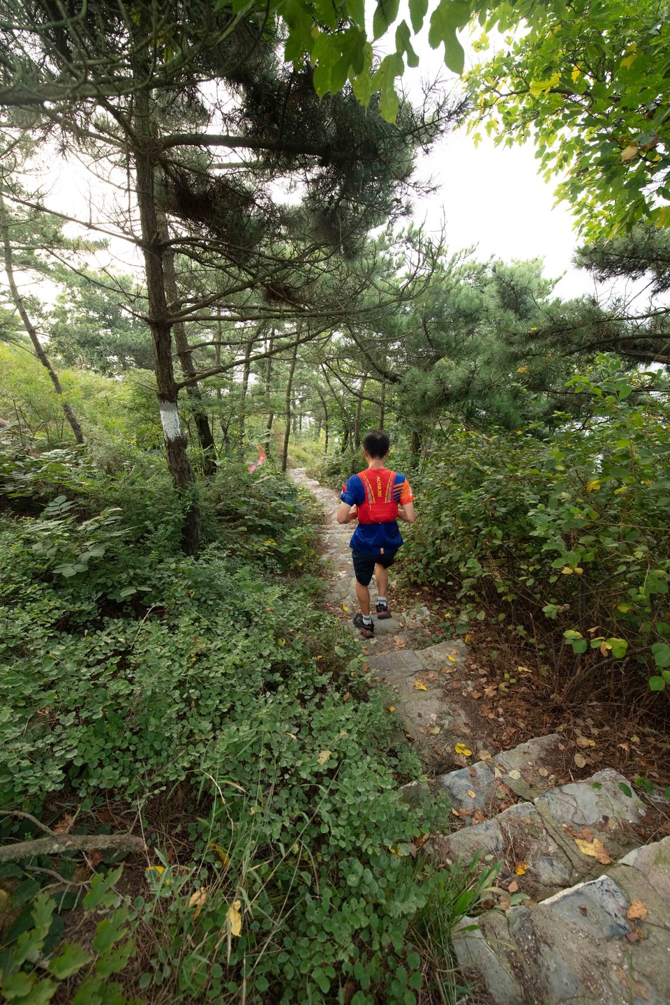 21大连海滨风光健康跑-大海鲨-46