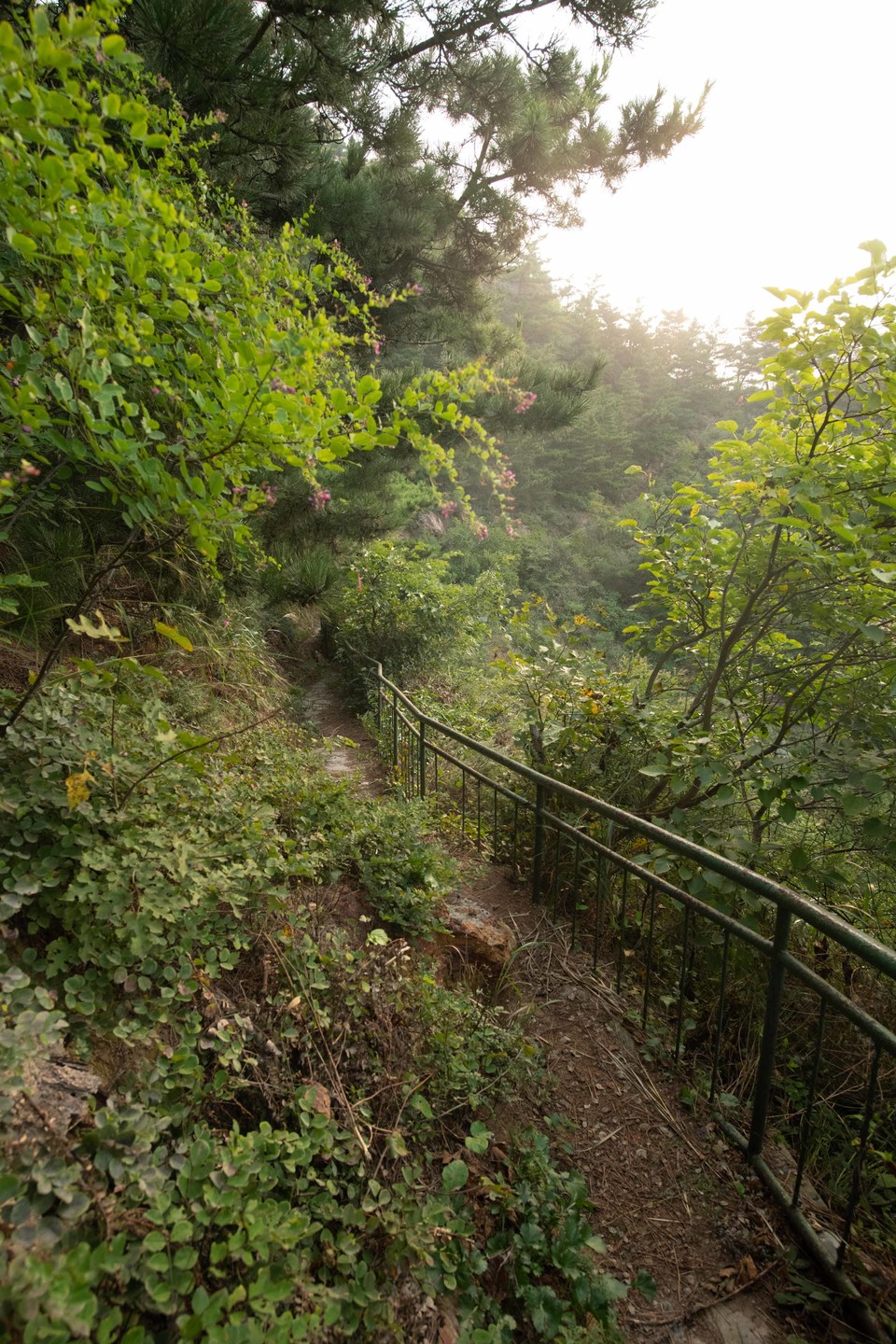 21大连海滨风光健康跑-大海鲨-57