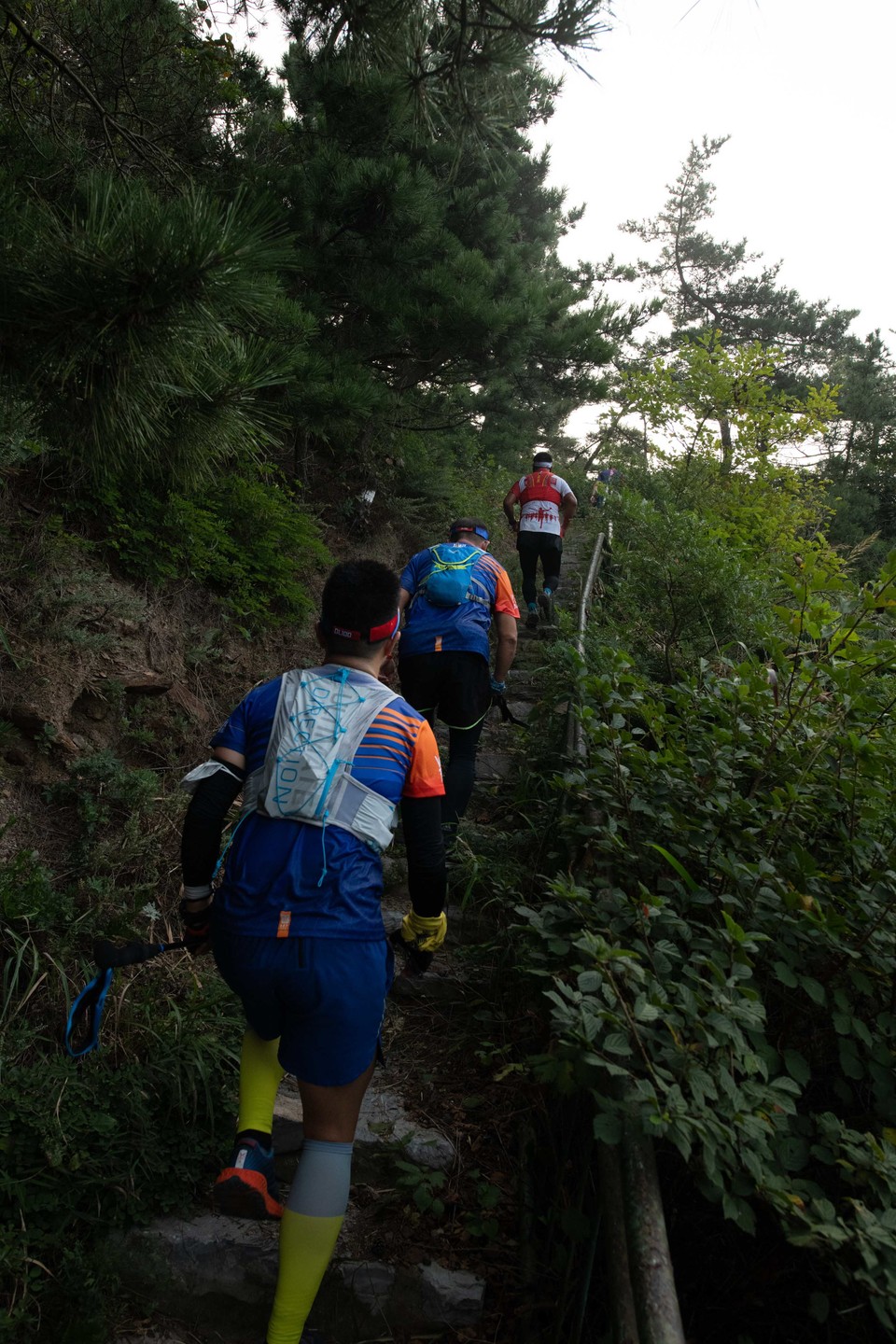 21大连海滨风光健康跑-大海鲨-65