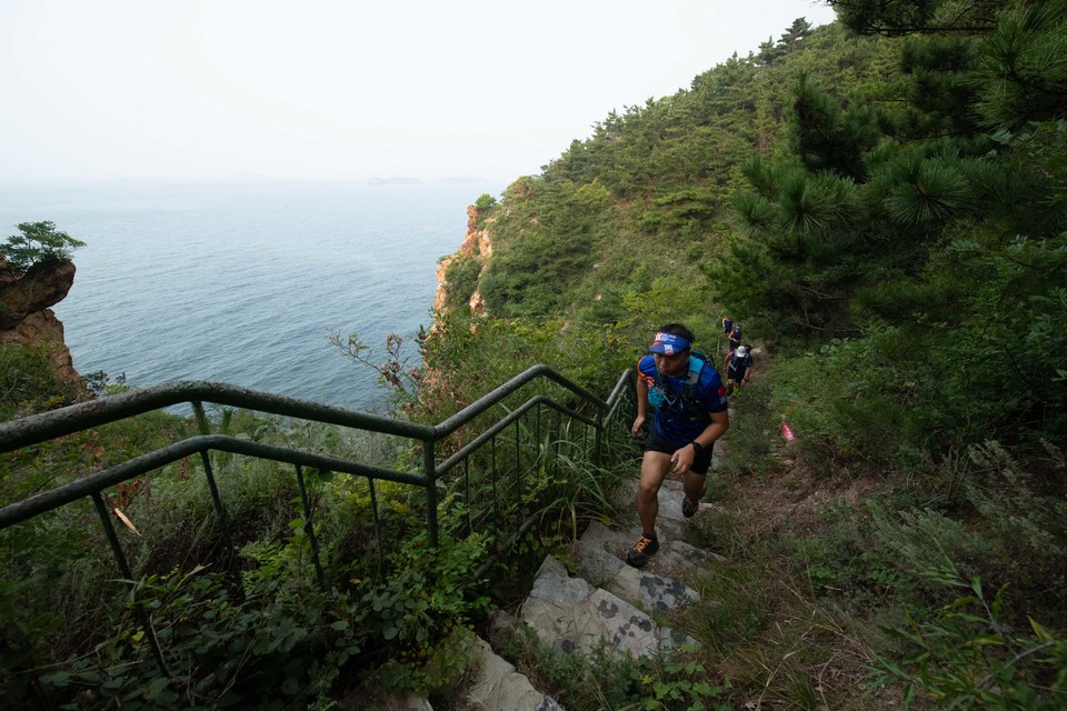 21大连海滨风光健康跑-大海鲨-68