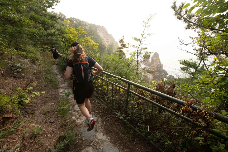 21大连海滨风光健康跑-大海鲨-75