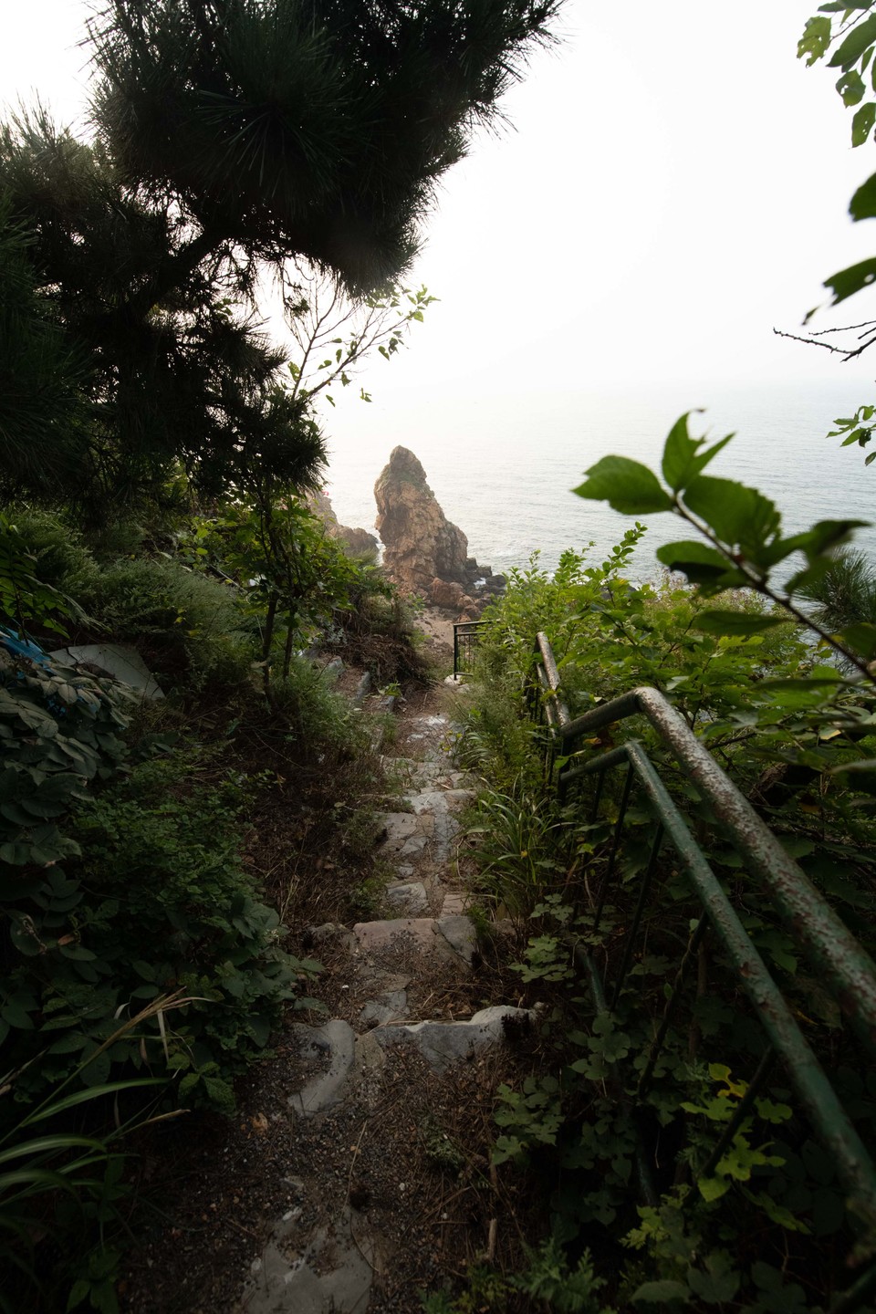 21大连海滨风光健康跑-大海鲨-77