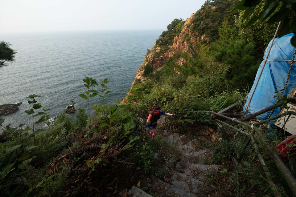 21大连海滨风光健康跑-大海鲨-79